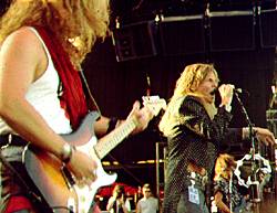 Europe rock out. Birds and animals flee